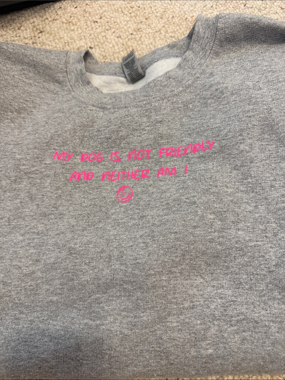 Gildan Heather Gray Kids Sweatshirt with Hot Pink Slogan